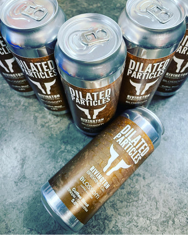 DILATED PARTICLES COFFEE STOUT 5% 500ml