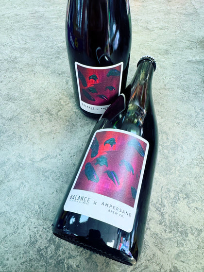 PRESSING MATTERS 2024 WILD ALE AGED ON PINOT NOIR POMACE 6% 750ml