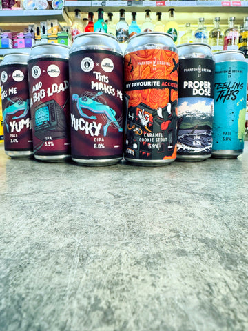 HOP PUNK 6 PACK 440ml