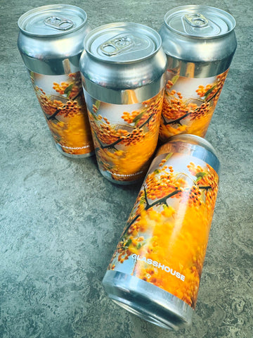 IN OCHRE IPA 6.3% 440ml